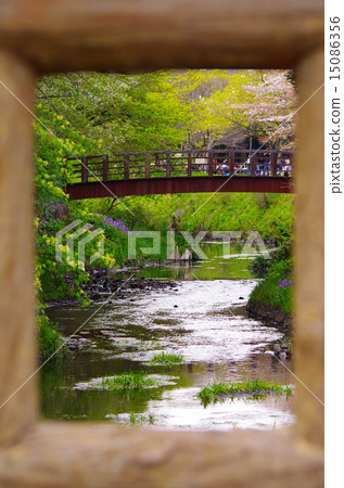 一座橋 一座橋 15086356