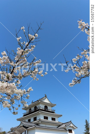 春天Masuoka公園白石城堡三生 15087782