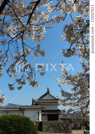 Spring Masuoka Park Shiroishi Castle Otomon 15087821