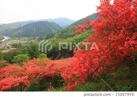 杜鵑花節Kanedo 杜鵑花節Kanedo 15087959