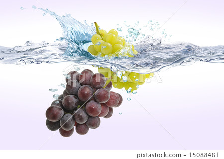 Grape 15088481