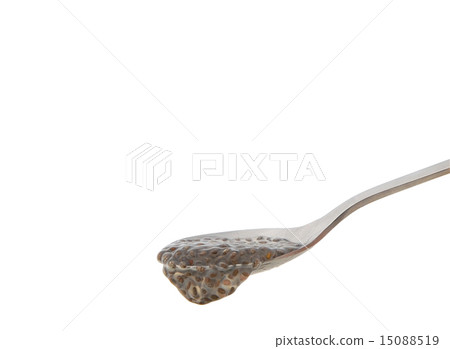 Chia seed 15088519