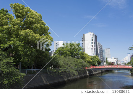 Meguro River and Shimbun Bridge of Ebara Shrine 15088621