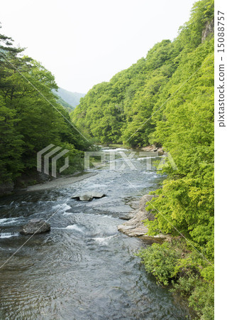 Wataru Valley 15088757