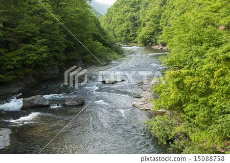 Wataru Valley 15088758