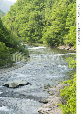 Wataru山谷 15088759