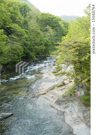 Wataru Valley 15088764