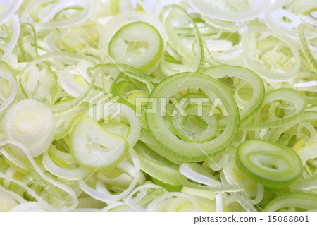 Condimented切碎的蔥特寫 15088801