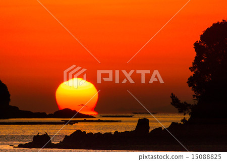 Tatsuma Asahi and Seabird Tatsuma Asahi and Seabird 15088825