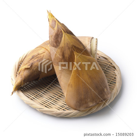 bambooshoot  15089203