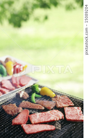 BBQ at the park BBQ at the park 15089204