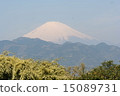 Mount Fuji in Spring 15089731