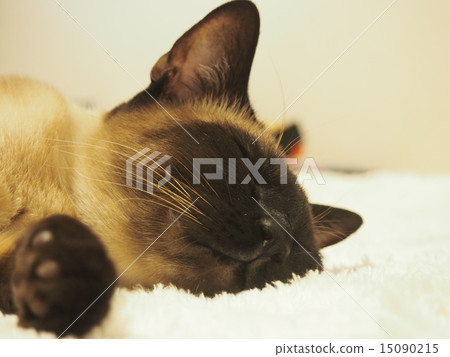 Healing sleeping face 15090215