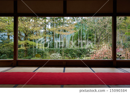 Spring Horse-in-a-Hospital，西面花園的全景 15090384