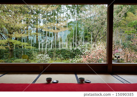 Hohsenin在春天，抹茶和毛茸茸的 15090385