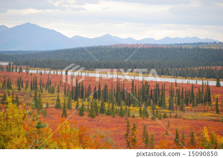 Denali National Park and Preserve 15090850