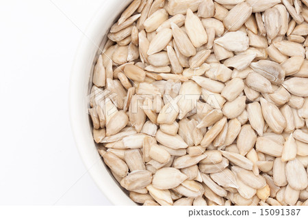 sunflower seed 15091387
