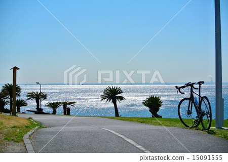 騎自行車 自行車公路賽 海 15091555