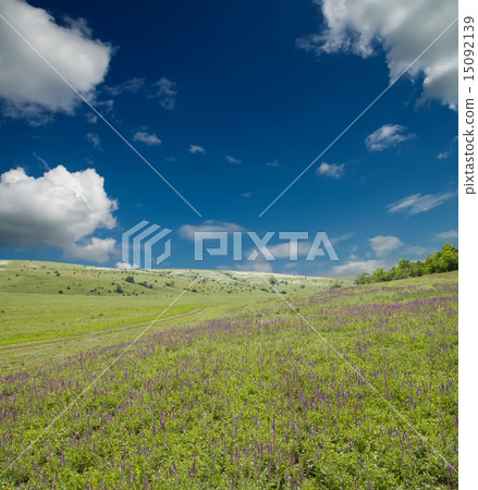 green meadow under cloudy sky 15092139