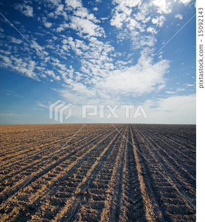 black ploughed field under blue cloudy sky black ploughed field under blue cloudy sky 15092143