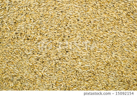 grain as good natural background grain as good natural background 15092154