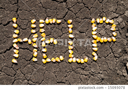 word HELP from grains of corn over cracked earth 15093078