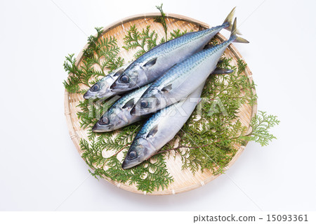 薩巴 薩巴 15093361