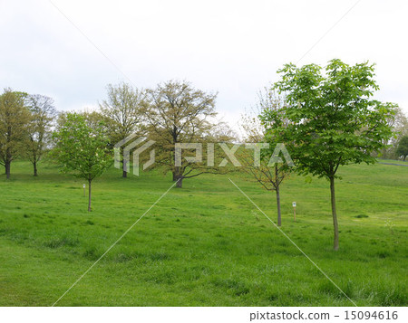Primrose Hill London Primrose Hill London 15094616