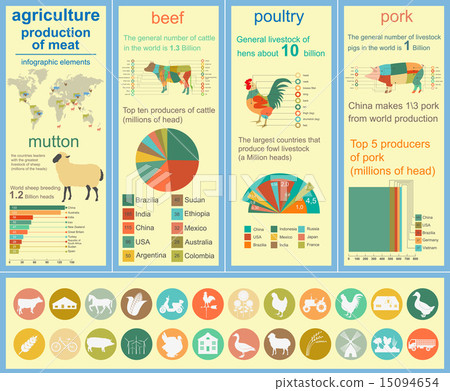 Agriculture, animal husbandry infographics 15094654
