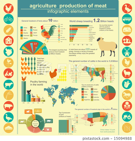 Agriculture, animal husbandry infographics - Stock Illustration [15094988]  - PIXTA