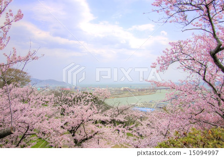Oku Matsushima in spring Oku Matsushima in spring 15094997