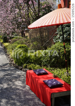 April Japanese style · day off 05 Banquet of cherry-blossom viewing 15095226