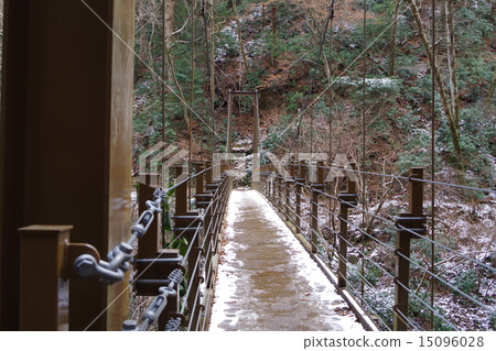 高雄吊橋 15096028