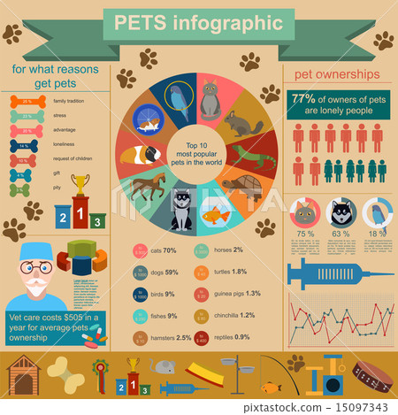 VetCompass on X: 🐹Infographic for the latest paper of the health of pet  hamsters in the UK: Infographic can be accessed here:    / X