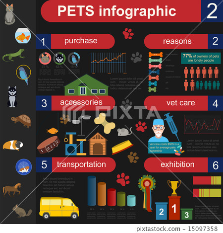 Domestic pets infographic elements, helthcare, vet 15097358