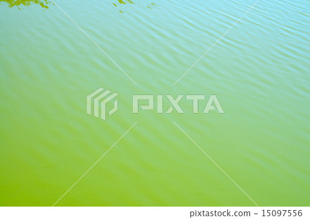 green water surface with small waves green water surface with small waves 15097556