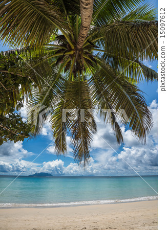 Anse Beau Vallon beach, Mahe island, Seychelles 15097612