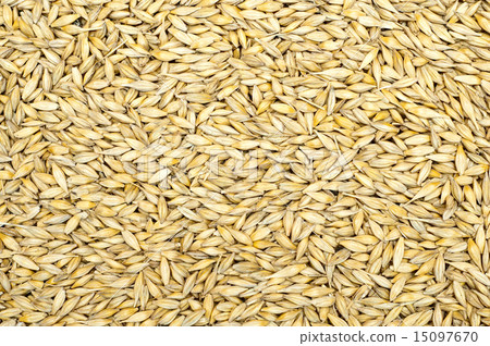 grain as good natural background grain as good natural background 15097670