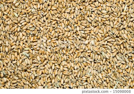 grain as good natural background 15098008