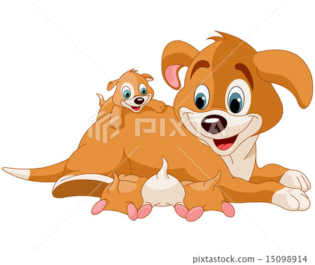 Mother dog nursing cute puppies Mother dog nursing cute puppies 15098914