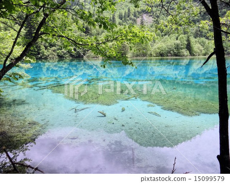 中國九寨溝五花海 中國九寨溝五花海 15099579