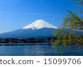 Yanagi和富士山 15099706