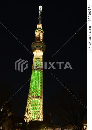 Sky Tree Christmas Version 15100484