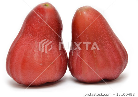 Rose apples 15100498