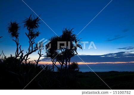 曼薩莫的日落 曼薩莫的日落 15100782