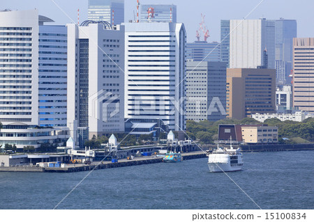 東京灣 東京灣 15100834
