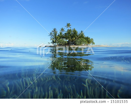 South paradise South paradise 15101535