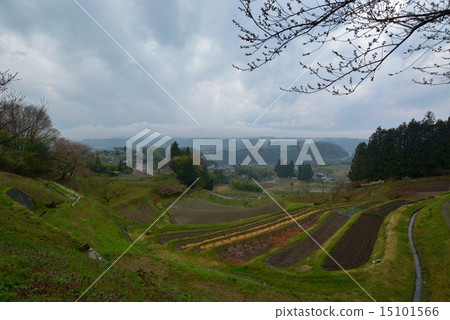 Rural rural areas (1) 15101566