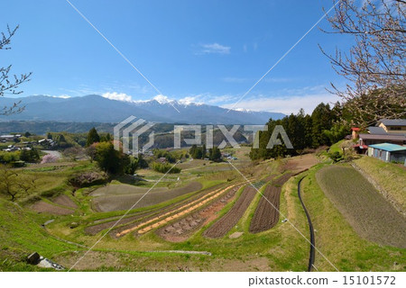 Rural village (5) 15101572