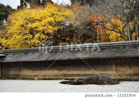 Ryoanji Temple Autumn 15101954